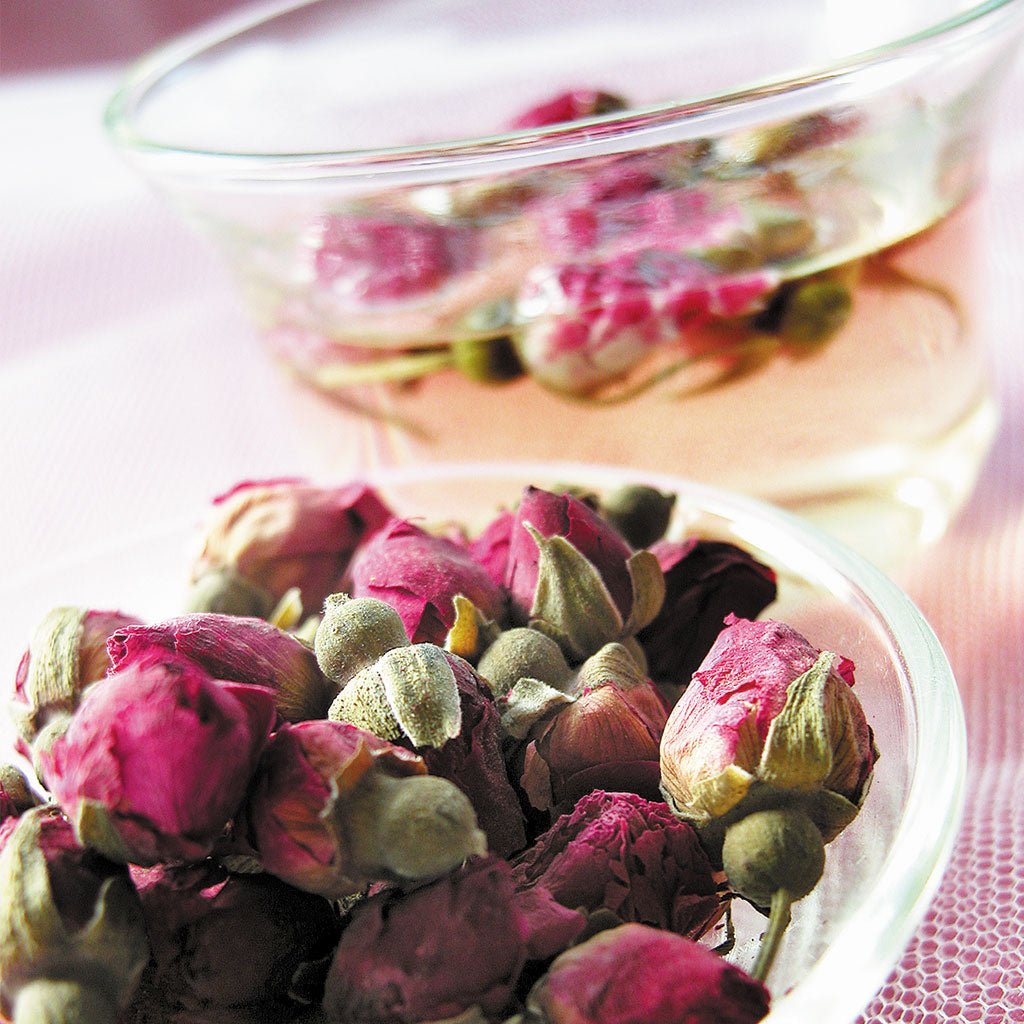 Rose Panna Cotta